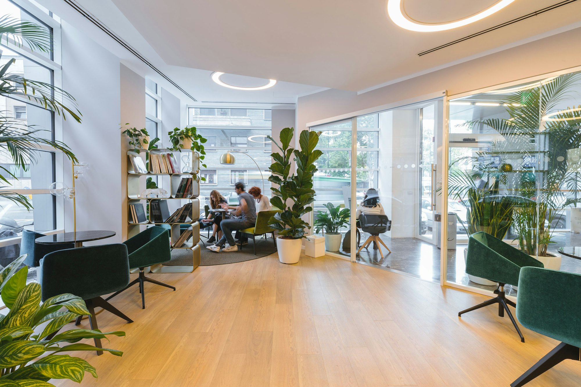 Members working at a shared table in a bright plant-filled studio with pale wood floors and street-facing glass