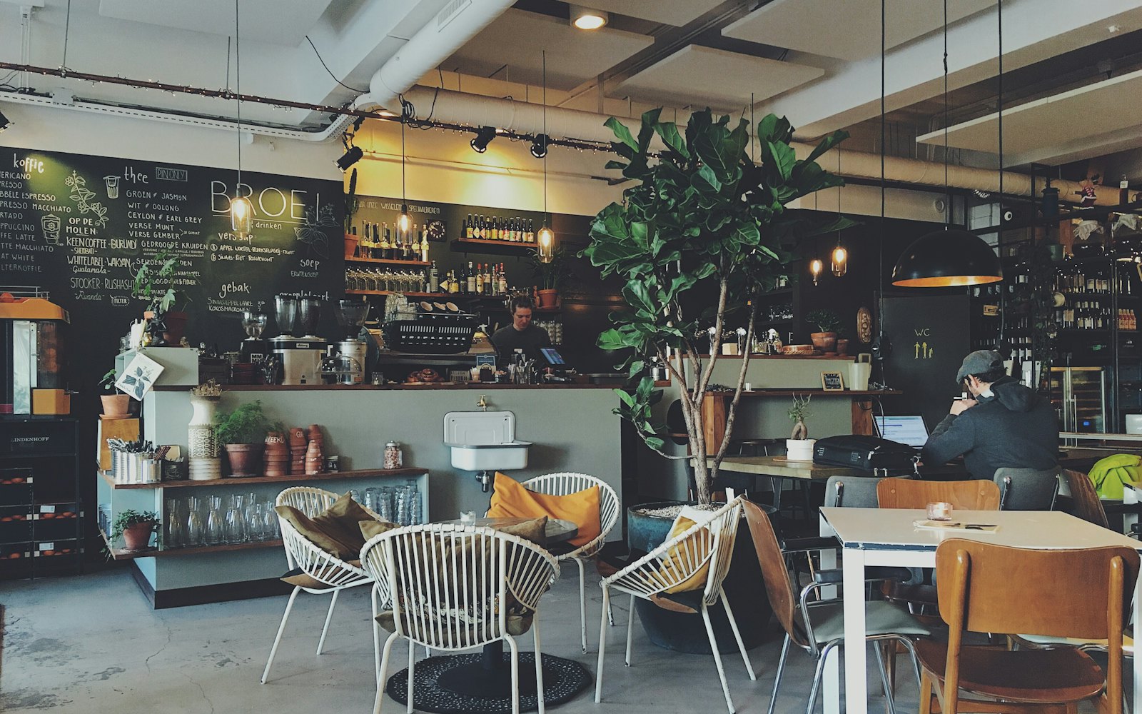 The Lisbon coffee bar and lounge seating, with planting along the counter